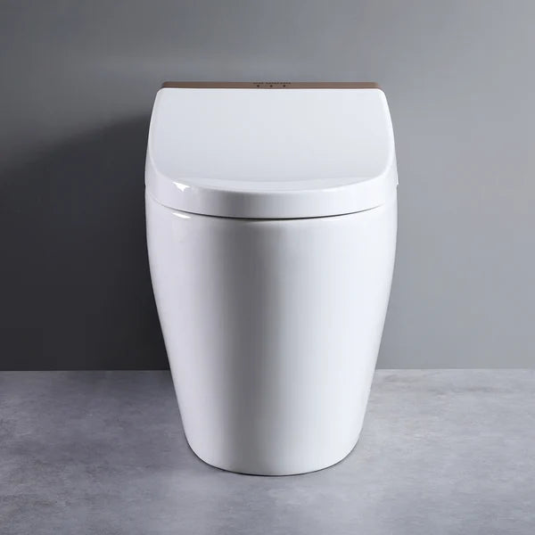 One-Piece Elongated Smart Toilet Floor Mounted Automatic Toilet Self-Clean Rose