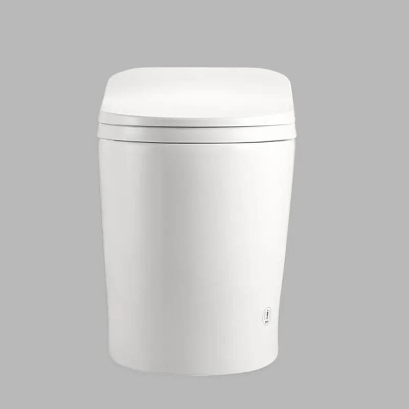 Toilettes intelligentes de petite taille, monobloc allongées, automatiques, montées au sol, autonettoyantes
